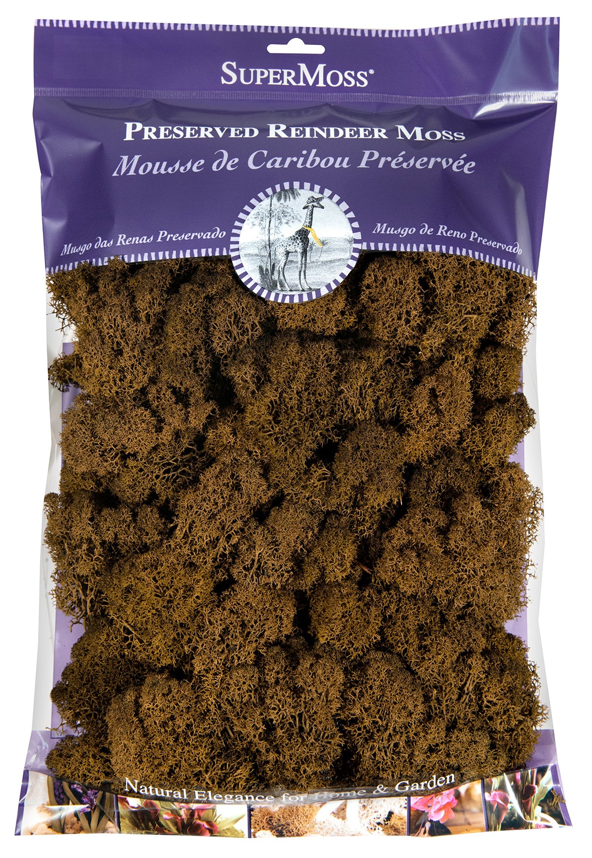 Super Moss (23169 Reindeer Moss Preserved, Fuchsia, 3lbs