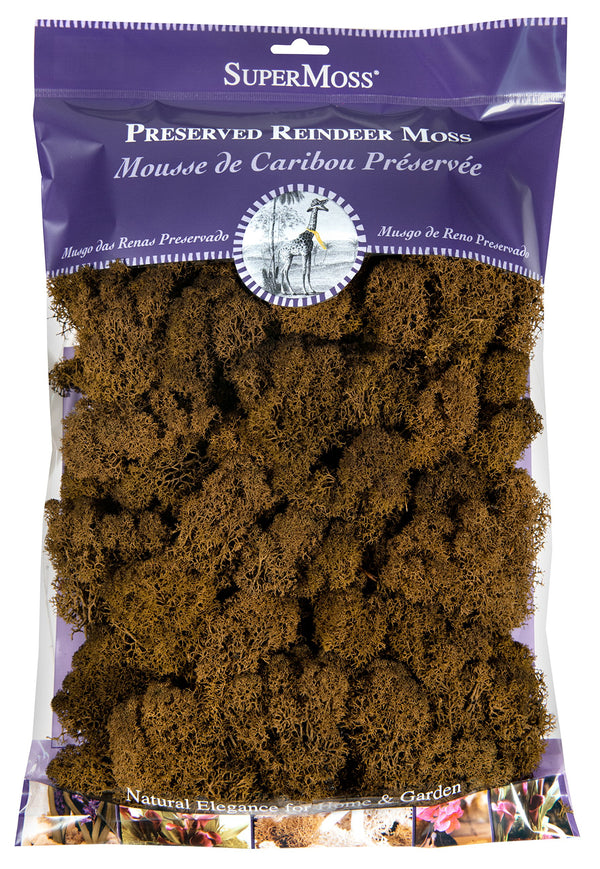 Super Moss (23169 Reindeer Moss Preserved, Fuchsia, 3lbs